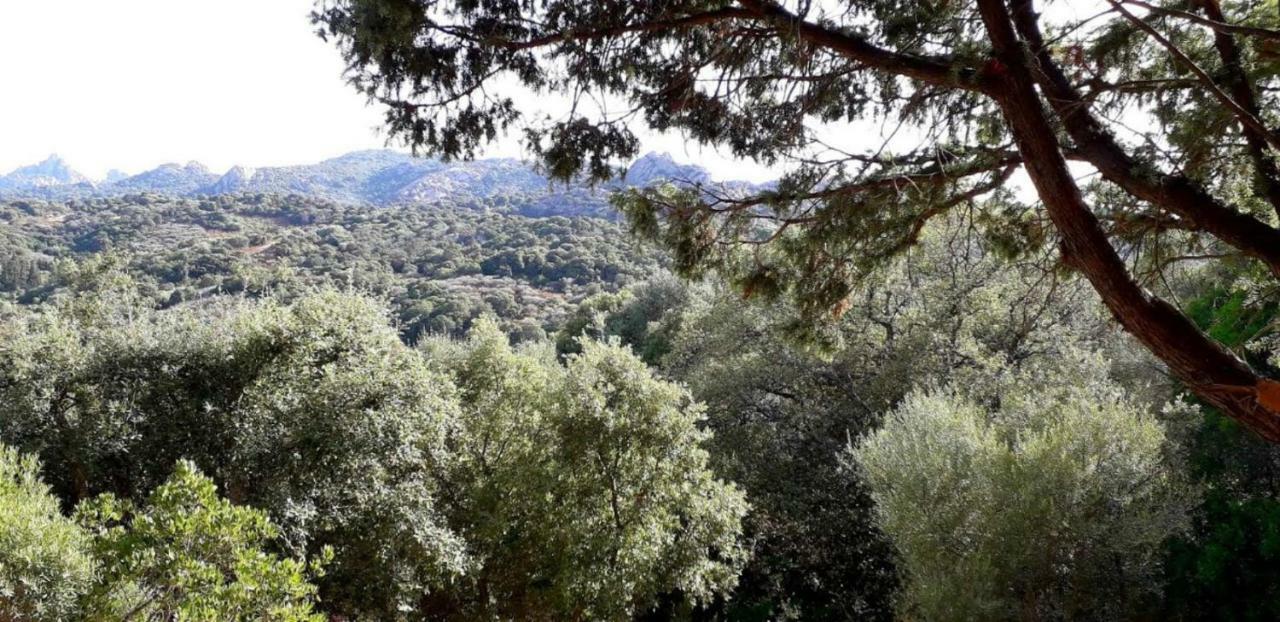 Stazzu La Capretta Farm Camping & Guest Rooms Olbia Extérieur photo
