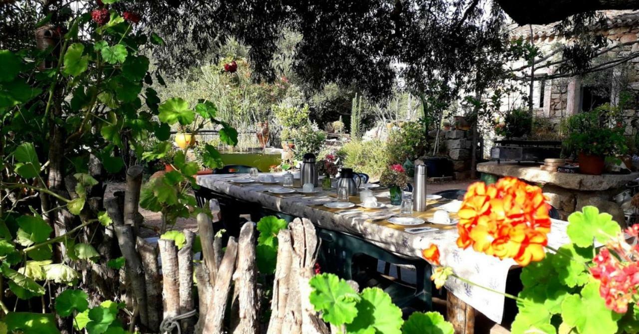 Stazzu La Capretta Farm Camping & Guest Rooms Olbia Extérieur photo