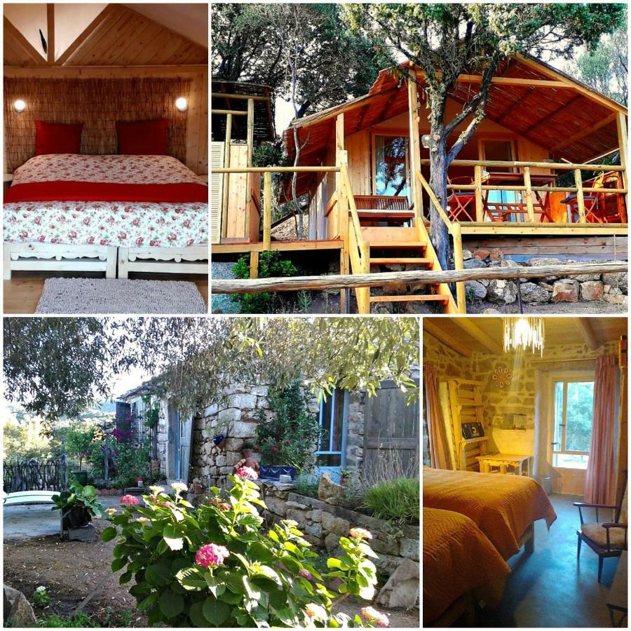 Stazzu La Capretta Farm Camping & Guest Rooms Olbia Extérieur photo