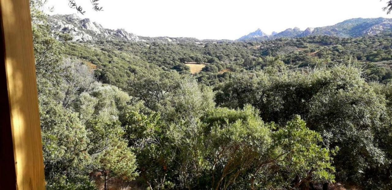 Stazzu La Capretta Farm Camping & Guest Rooms Olbia Extérieur photo
